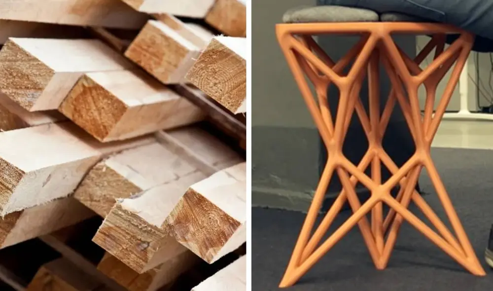 Una nueva técnica de materia vegetal podría permitir cambiar la historia para siempre. Foto: 3DNatives/composición