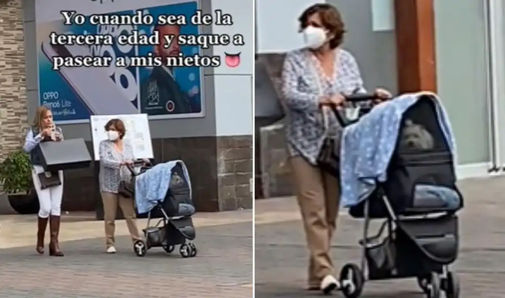 La viral escena compartida por Polux (@h.polux) obtuvo diversas reacciones en las redes sociales. Foto: captura de TikTok