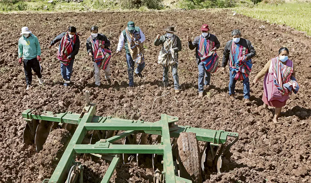 Siembra. Producción de la próxima campaña agrícola se afectaría por la crisis de fertilizantes. Lote que repartirá gratuitamente el Estado llegaría el 15 de julio. Foto: difusión Siembra. Producción de la próxima campaña agrícola se afectaría por la crisis de fertilizantes. Lote que repartirá gratuitamente el Estado llegaría el 15 de julio. Foto: difusión