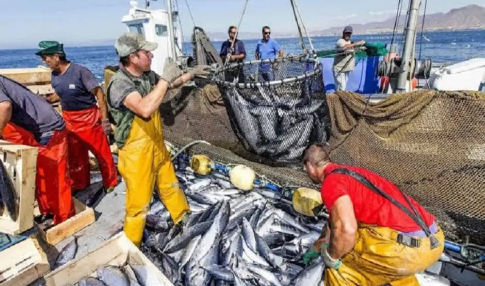 Multas menores a 50 UIT tendrán descuento de 90%. Foto: Andina.