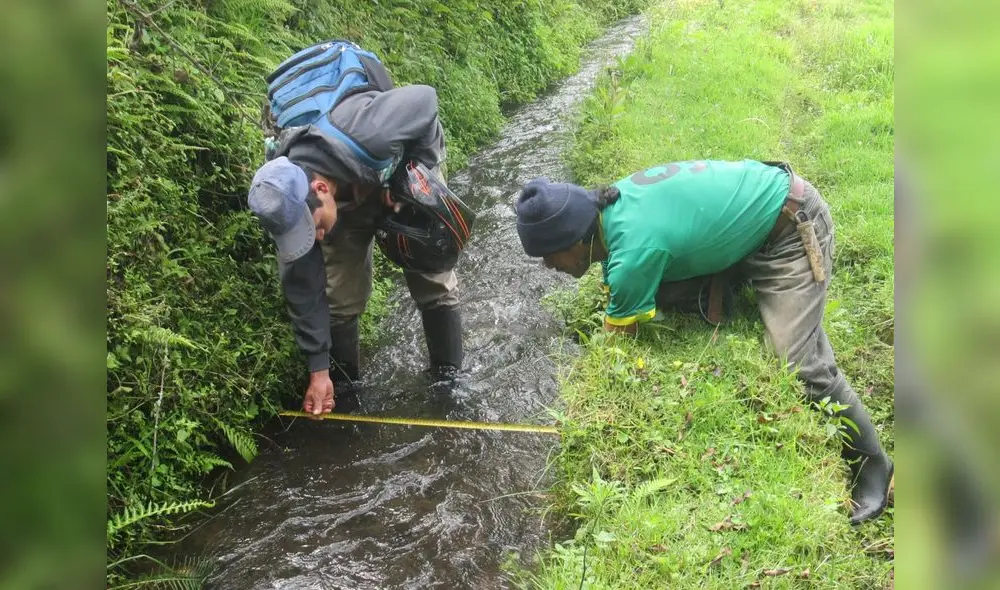 Campesinos defenderán sus tierras ante expropiación. Foto: Archivo La República