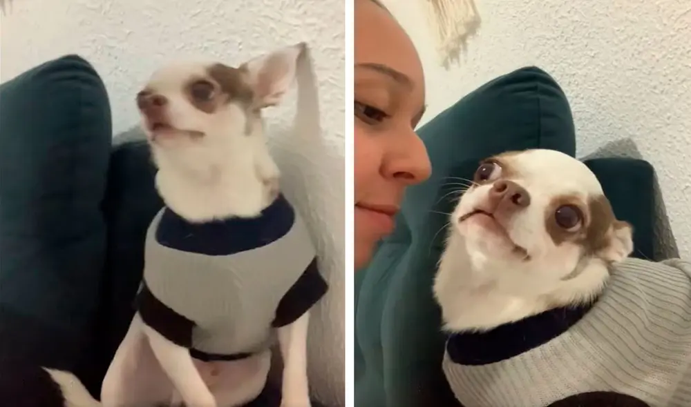 Luego de que recibió su beso como cada día, el tierno can trató de convencer a la mujer para conseguir otro. Foto: captura de Facebook