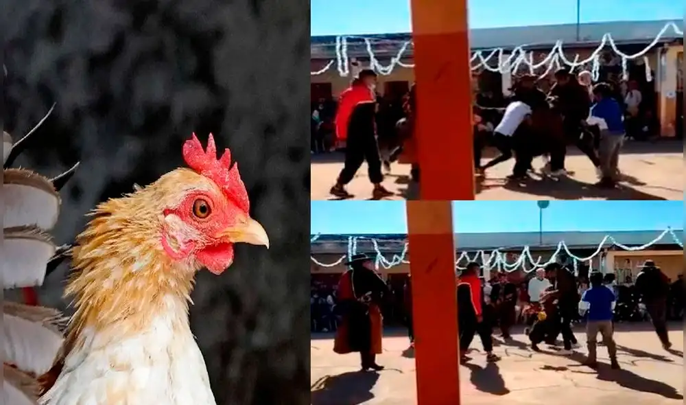 El Ministerio de Educación de Argentina realizará una jornada “para concientizar a los alumnos y docentes sobre el tema”. Foto: composición/AFP/Twitter El Ministerio de Educación de Argentina realizará una jornada “para concientizar a los alumnos y docentes sobre el tema”. Foto: composición/AFP/Twitter