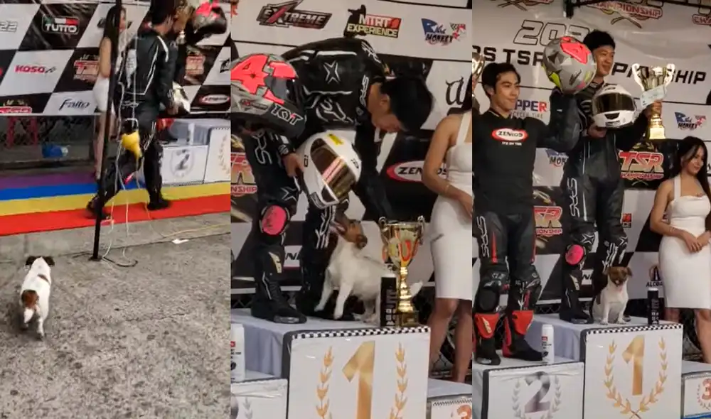 La mascota se quedó con su dueño en el podio para celebrar la premiación. Foto: @viralhog