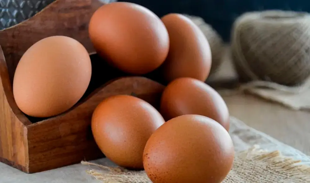 Cerca de 30 granjas cerraron sus instalaciones tras el incremento en el precio. Foto: Actualidad avipecuaria