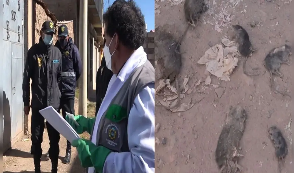 Comuna coordinará con Fiscalía para realizar constatación. Foto: Municipalidad de San Román Comuna coordinará con Fiscalía para realizar constatación. Foto: Municipalidad de San Román