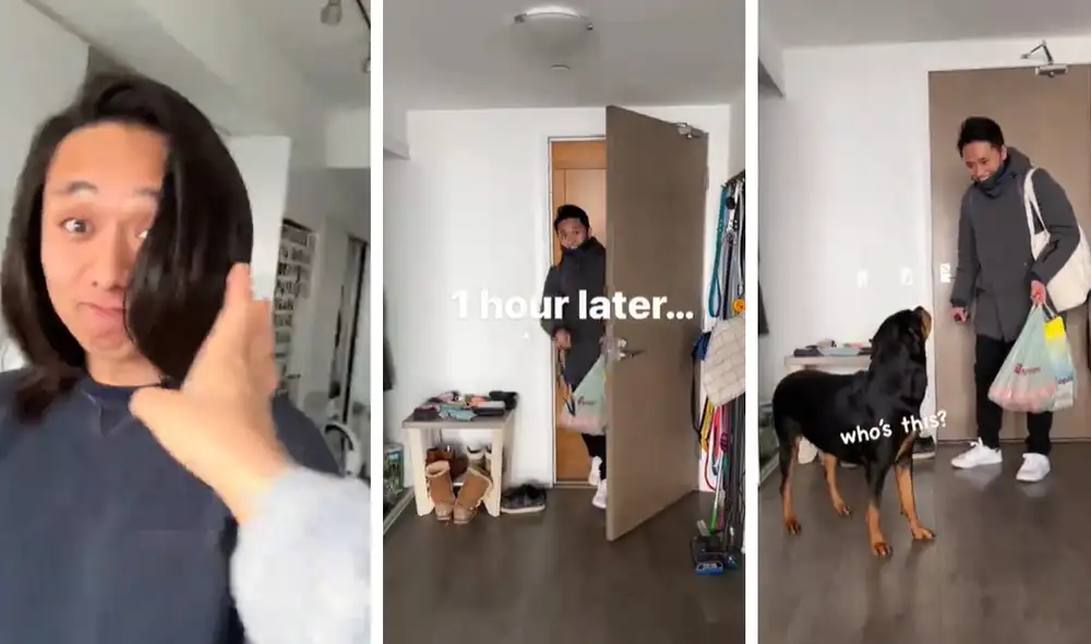 El clip viral obtuvo millones de reproducciones en la red social. Foto: captura de Facebook