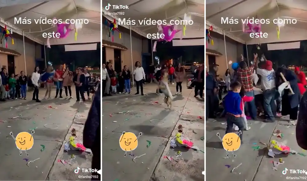 El perrito era el más emocionado en la celebración por ser el protagonista de romper la piñata. Foto: captura de TikTok El perrito era el más emocionado en la celebración por ser el protagonista de romper la piñata. Foto: captura de TikTok
