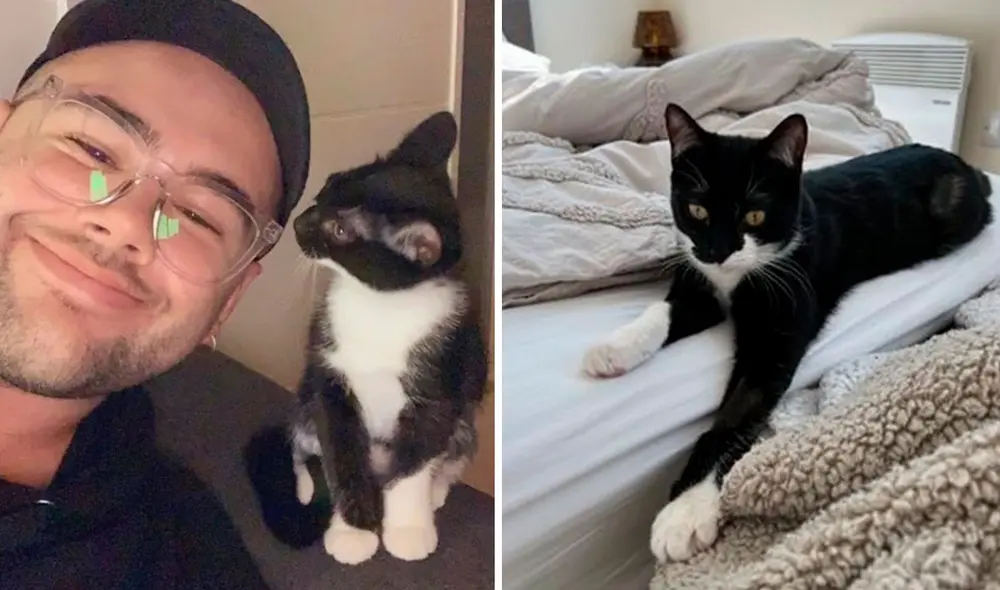 Luego de que se vio obligado a pasar más tiempo en casa, el joven notó que la actitud de su felina cambió por completo. Foto: Harry Jones/ Facebook Luego de que se vio obligado a pasar más tiempo en casa, el joven notó que la actitud de su felina cambió por completo. Foto: Harry Jones/ Facebook