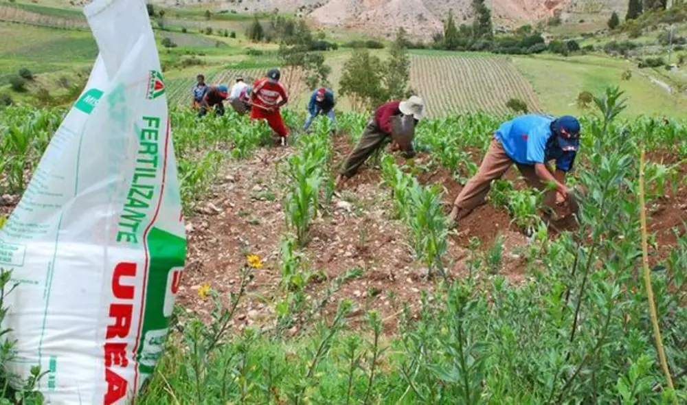 La medida también busca maximizar el valor de los recursos institucionales para lograr los objetivos del sector. Foto: difusión La medida también busca maximizar el valor de los recursos institucionales para lograr los objetivos del sector. Foto: difusión