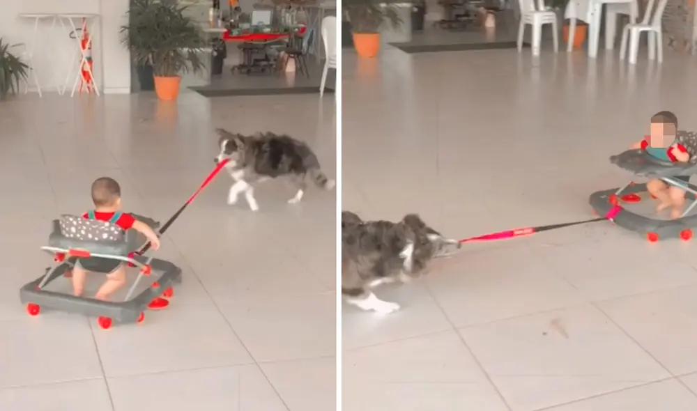 Pese a la velocidad en que iba el inquieto animal, el pequeño se mostró feliz y tranquilo en todo momento. Foto: captura de Facebook