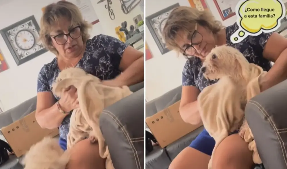 Miles de usuarios quedaron impresionados con estas imágenes. Foto: captura de TikTok