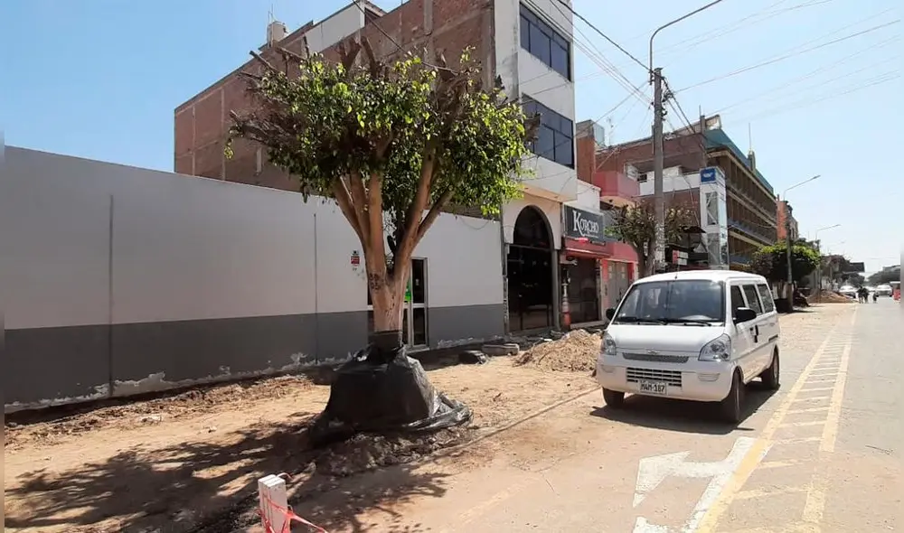 El jueves se comenzó con la demolición de las jardineras en las primeras cuadras de la av. José Balta. Foto: La República.
