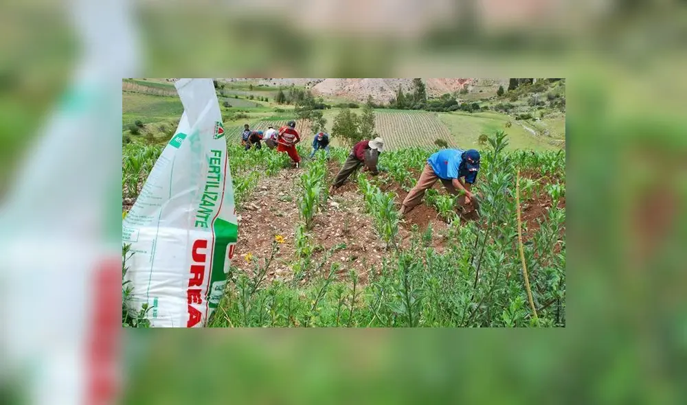 Gobierno implementó nuevos lineamientos para la adquisición de fertilizantes a nivel internacional. Foto: Gob.