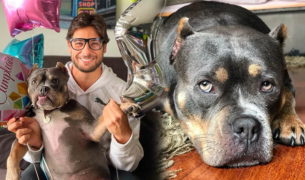 Mentita llegó a la vida de Andrés Wiese en junio de 2020. Foto: composición/ Instagram