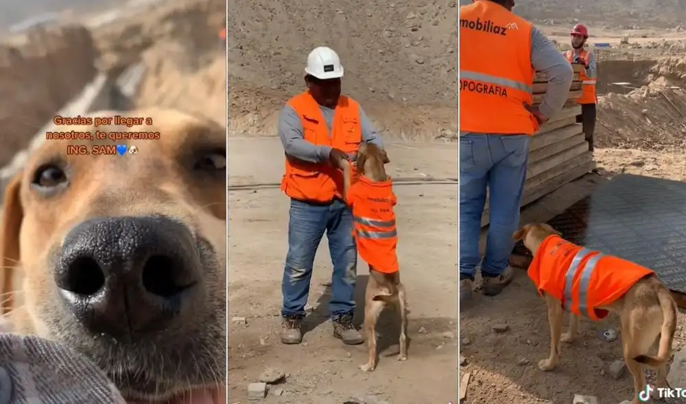 La viral escena compartida por @inmobiliaz logró obtener 1 300 000 reproducciones y miles de reacciones. Foto: captura de TikTok