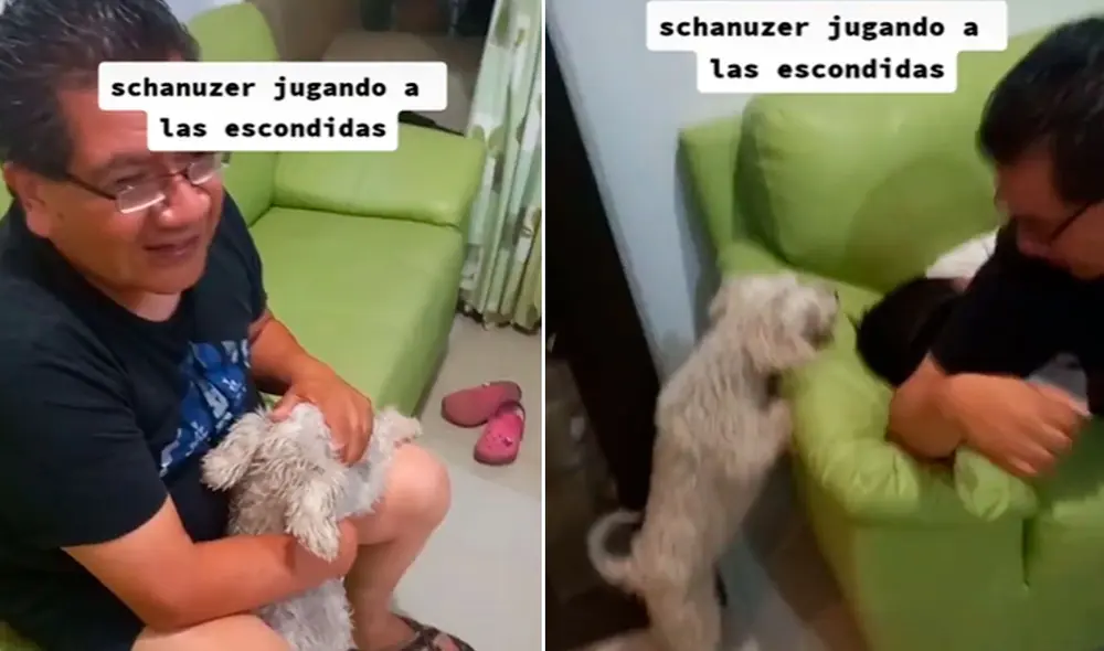 Miles de usuarios no han parado de reír con estas imágenes. Foto: captura de TikTok Miles de usuarios no han parado de reír con estas imágenes. Foto: captura de TikTok