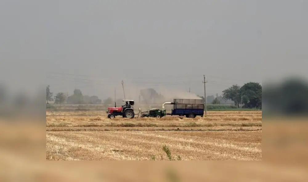Medida permitirá aprontar crisis alimentaria por irrupción de suministro por la guerra en Ucrania. Foto: AFP. Medida permitirá aprontar crisis alimentaria por irrupción de suministro por la guerra en Ucrania. Foto: AFP.