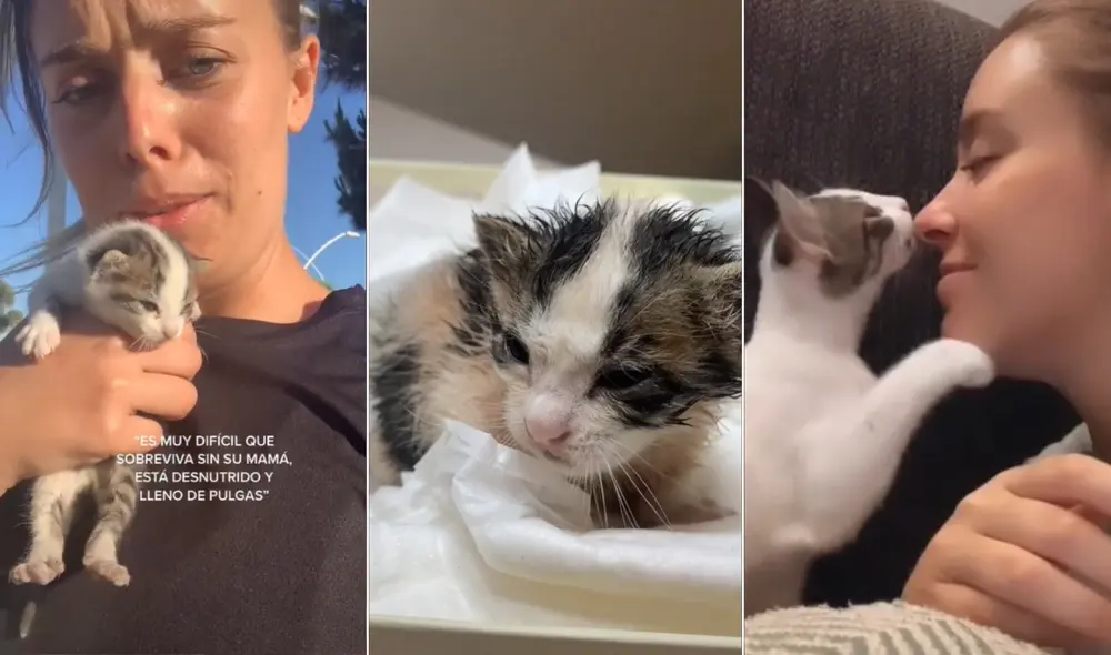 El viral clip compartido por Dalía (@daliablog) logró cautivar a miles de usuarios en las redes sociales. Foto: captura de TikTok