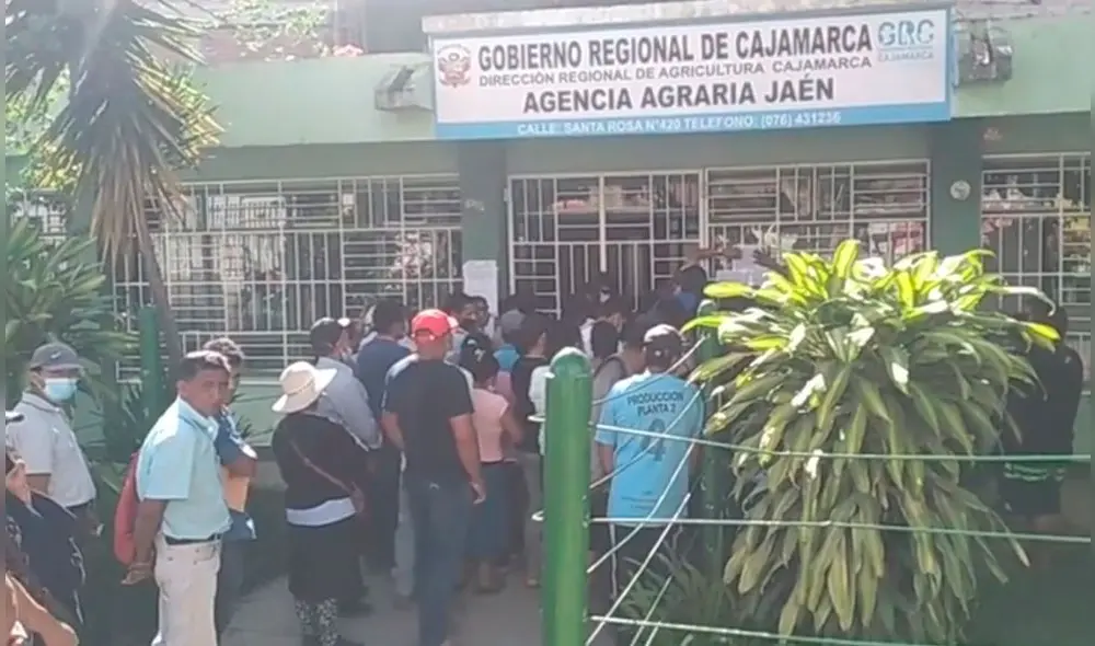 La Agencia Agraria Jaén indicó que reportaba problemas con el sistema usado para el pago del SEFE Agro. Foto: captura de video/Radio Marañón.