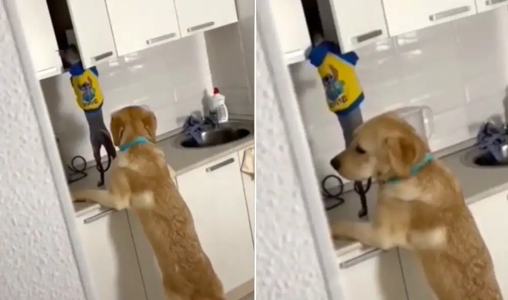 La viral escena compartida por la página @yo_hoho logró obtener miles de reproducciones y reacciones en poco tiempo. Video: TikTok