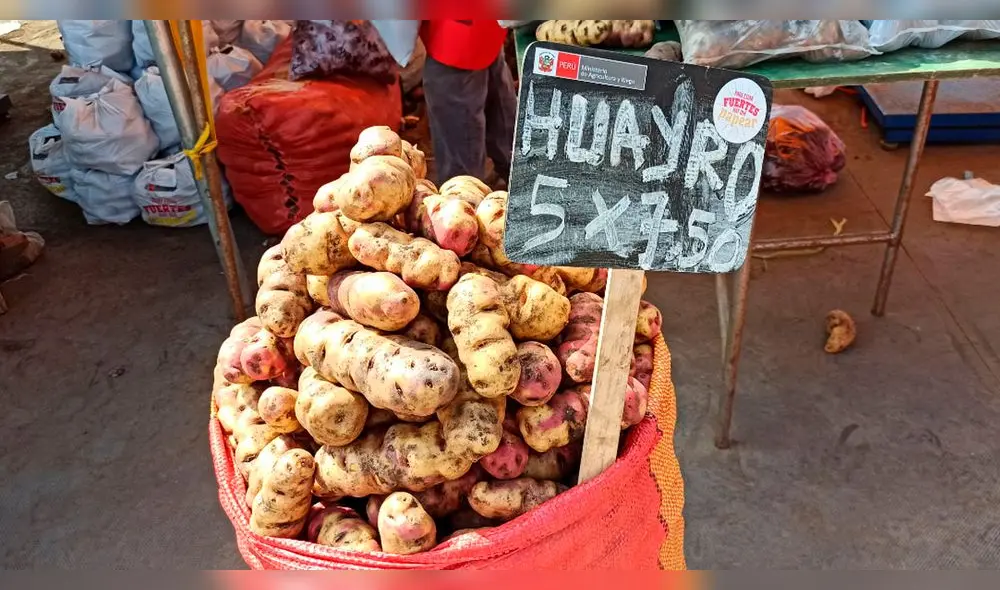 En el Perú existen más de 3.500 variedades de papa, siendo las más conocidas la amarilla, blanca y yungay. Foto: URPI-GLR