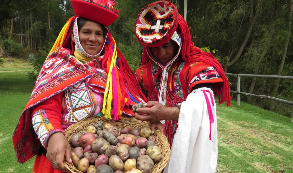 Papas son cultivadas en 30 parcelas ubicadas a más de 4.000 metros sobre el nivel del mar. Foto: La República Papas son cultivadas en 30 parcelas ubicadas a más de 4.000 metros sobre el nivel del mar. Foto: La República
