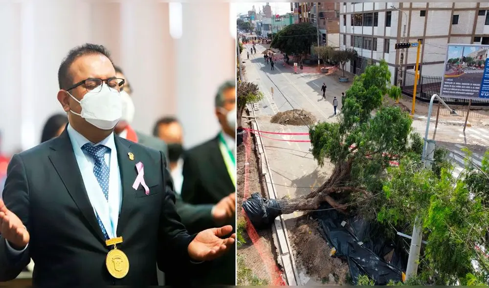 Esta martes 31 de mayo, se reportó la caída de un árbol en plena avenida José Balta. Las críticas a Marcos Gasco resaltaron otra vez. Foto: composición/ Clinton Medina/La República Esta martes 31 de mayo, se reportó la caída de un árbol en plena avenida José Balta. Las críticas a Marcos Gasco resaltaron otra vez. Foto: composición/ Clinton Medina/La República