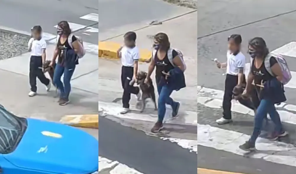 El clip es viral en TikTok y otras redes sociales. Foto: TikTok El clip es viral en TikTok y otras redes sociales. Foto: TikTok