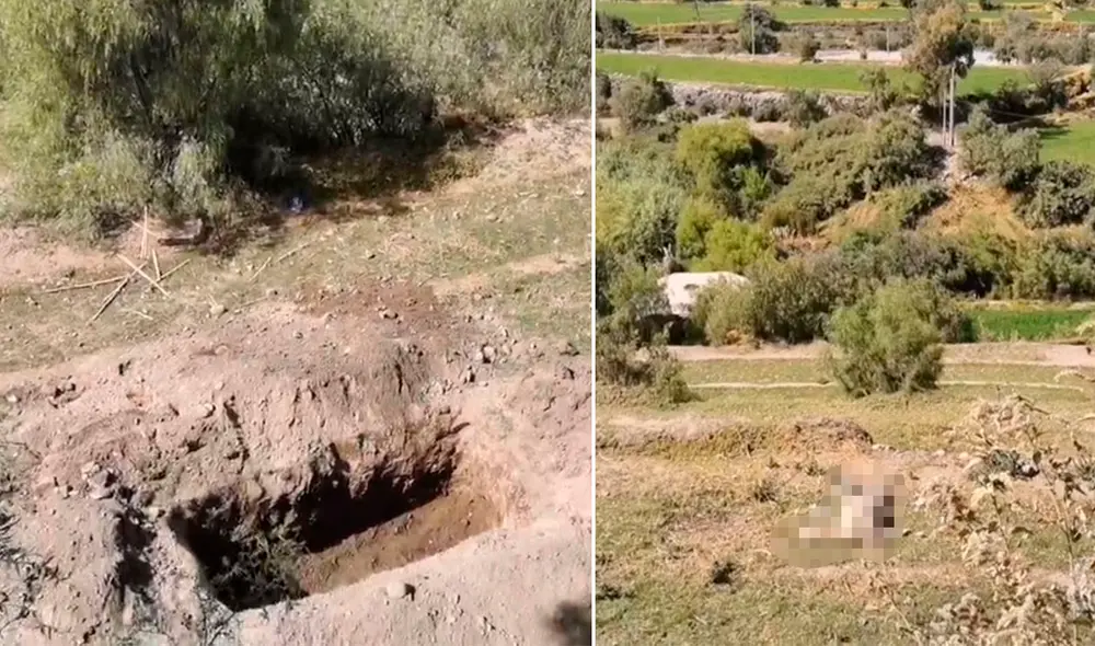 Las alpacas quedaron regadas por los andenes del valle de Chilina. Foto: captura de Exitosa