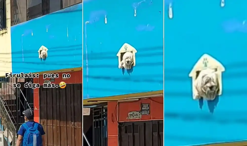 La viral escena compartida por Yamir (@leosarngsandvl) logró obtener miles de reacciones y reproducciones en poco tiempo. Foto: captura de TikTok