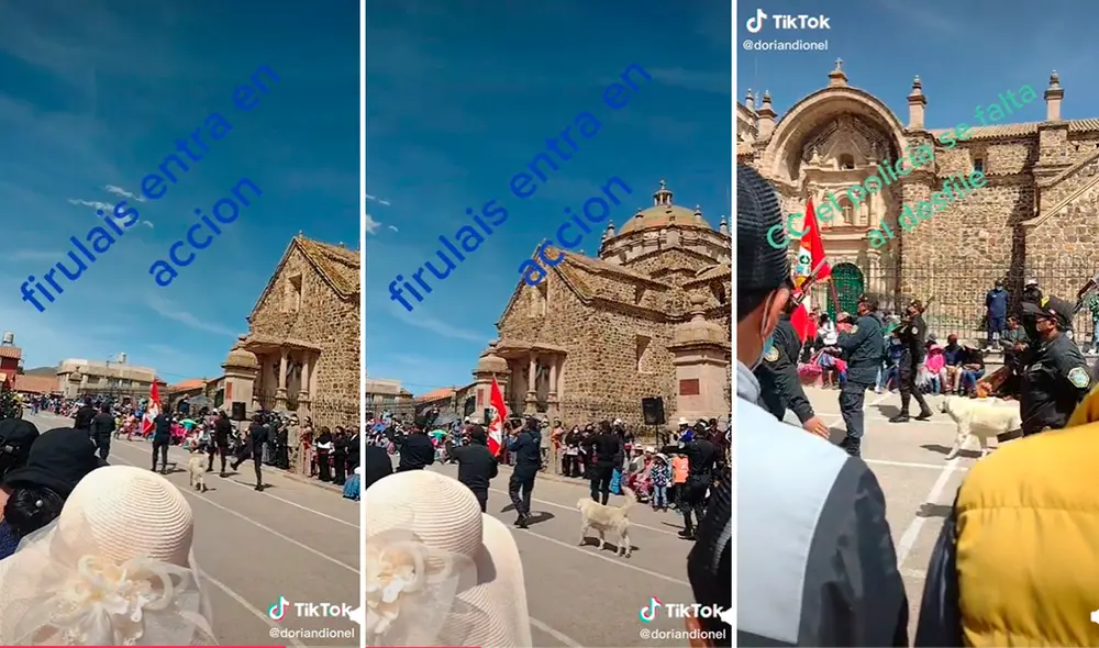 El perrito con paso firme avanzaba por el centro ganándose los aplausos de la población. Foto: composición/ captura de TikTok El perrito con paso firme avanzaba por el centro ganándose los aplausos de la población. Foto: composición/ captura de TikTok