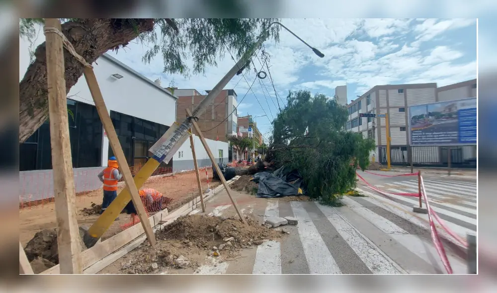 Carlos Mendoza afirmó que la MPCH pagaría S/ 128.000 por estudio técnico. Foto: Clinton Medina/ La República