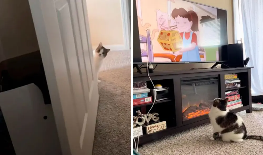 La afición de Ella comenzó cuando vio "El Grinch" por primera vez en la televisión cuando quiso acompañar a sus dueños. Foto: captura de Facebook