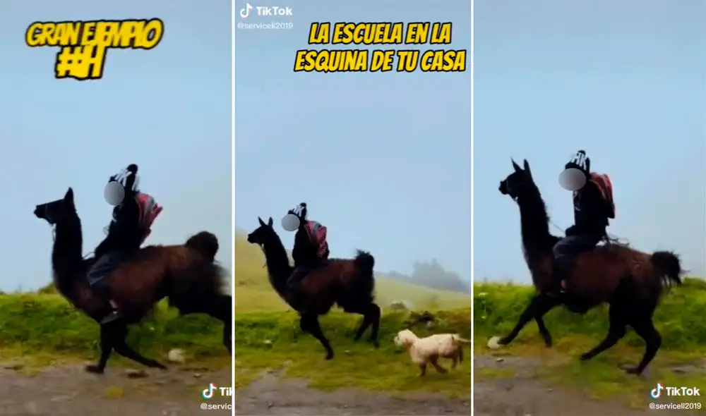 El pequeño no dejó que la falta de transporte lo prive de las ganas de aprender. Foto: captura de TikTok El pequeño no dejó que la falta de transporte lo prive de las ganas de aprender. Foto: captura de TikTok