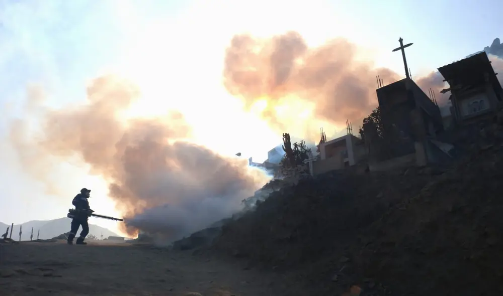 Trabajos en cementerio Virgen de Lourdes iniciaron este miércoles 1 de junio. Foto: Minsa