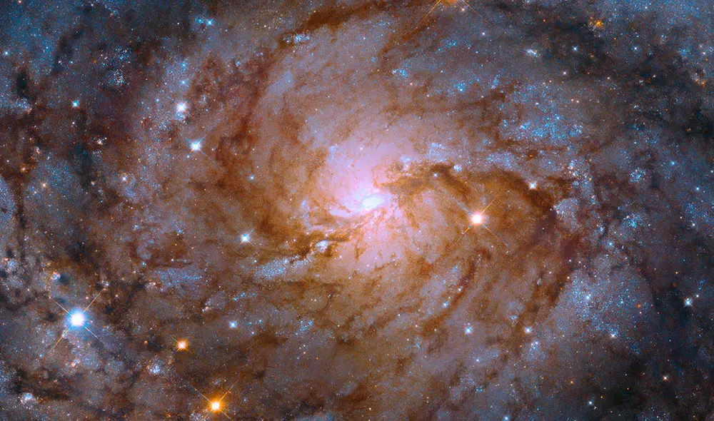 IC 342, conocida como "Galaxia Oculta", tiene la mitad del tamaño de la Vía Láctea. Foto: NASA / ESA