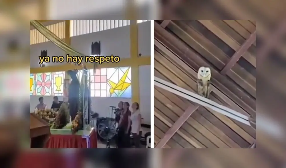 La grabación obtuvo más de 35.000 reproducciones en la red social. Foto: captura de TikTok