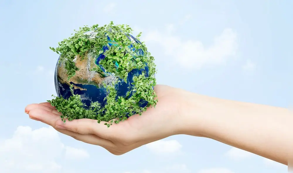 Día Mundial del Medio Ambiente: conoce las razones por las que se celebra este día. Foto: rawpixel