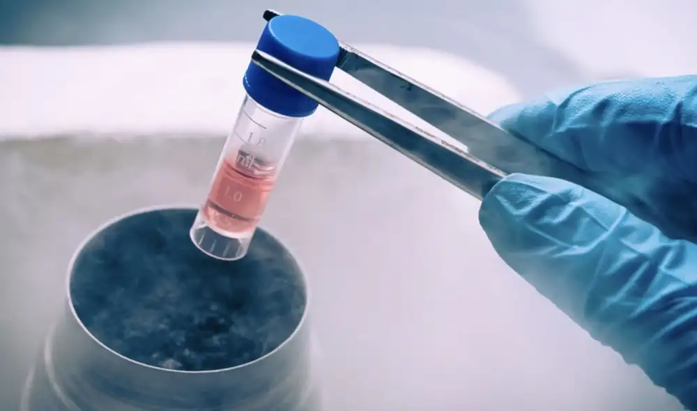 Dicho método es una buena alternativa para pacientes que desean quedar embarazadas. Foto: Andina Dicho método es una buena alternativa para pacientes que desean quedar embarazadas. Foto: Andina