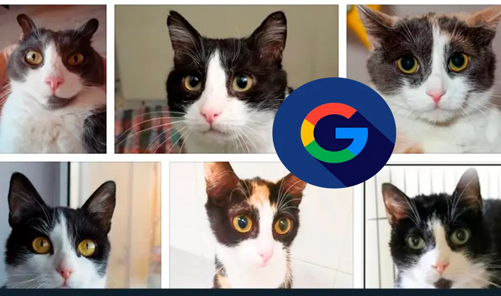 Este y más trucos en la web los encuentras en nuestro portal de tecnología. Foto: composición LR/ Google