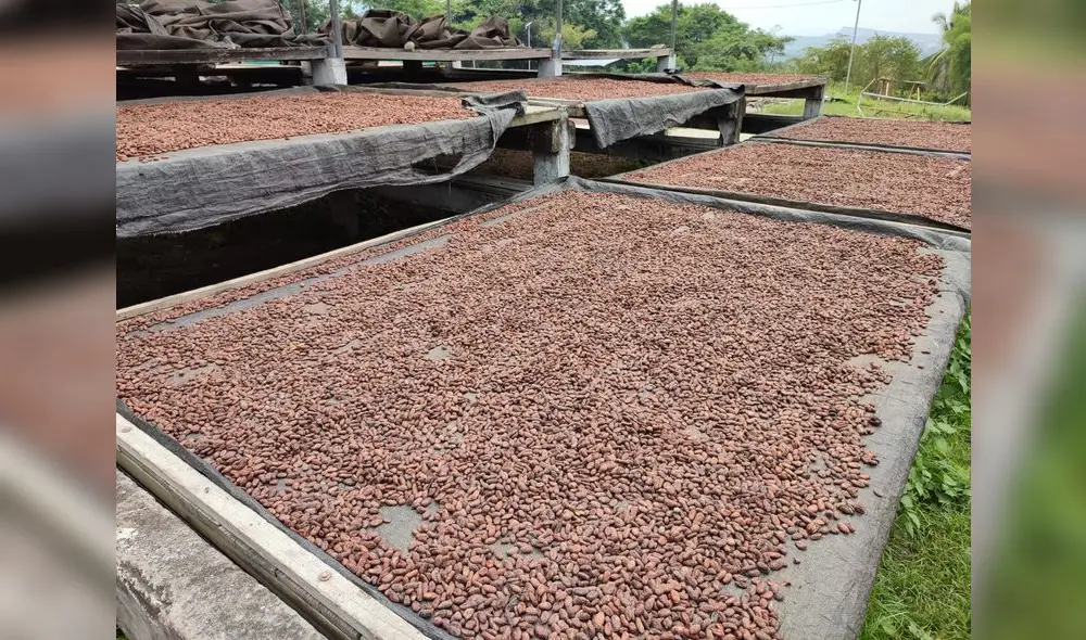 Esfuerzo conjunto. Los productores también piden el compromiso de las autoridades para salvar esta cadena productiva. Foto: La República