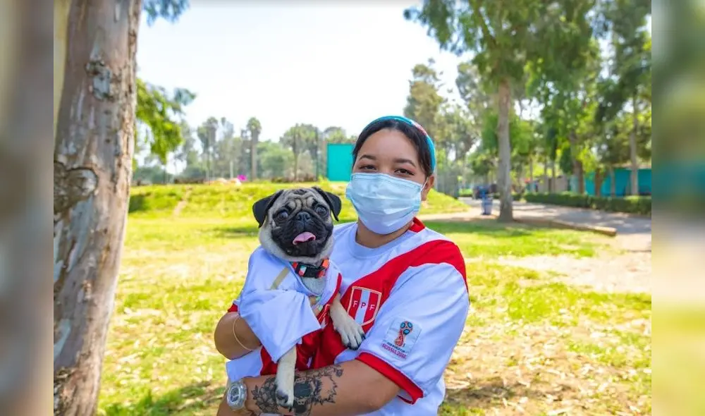 Los perritos podrán pasar por consultas veterinarias y desparasitación gratuita. Foto: Serpar