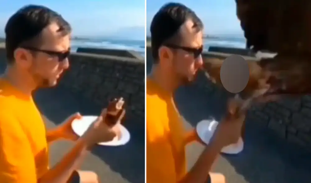 El muchacho se quedó asombrado, pues no imaginó que el animal se atrevería a quitarle la comida de las propias manos. Foto: captura de TikTok