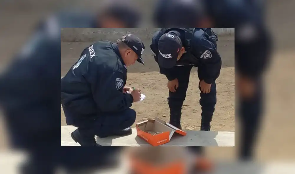 Especialistas de UDEX neutralizaron carga explosiva. Foto: PNP