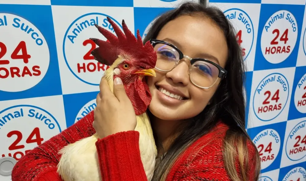 Fiscalización de Jesús María impuso multa de 920 soles por cacareos de gallo Claudio. Foto: María Pía Ponce/ URPI-LR Fiscalización de Jesús María impuso multa de 920 soles por cacareos de gallo Claudio. Foto: María Pía Ponce/ URPI-LR
