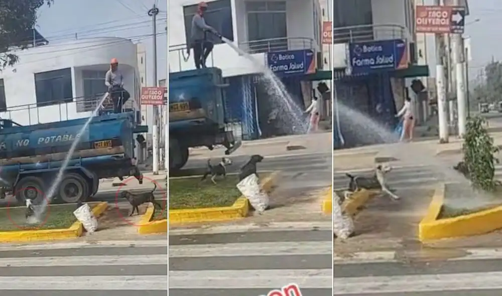 La viral escena compartida en redes por la usuaria Kath (@kathsusan18) logró obtener miles de reproducciones y reacciones. Foto: captura de TikTok La viral escena compartida en redes por la usuaria Kath (@kathsusan18) logró obtener miles de reproducciones y reacciones. Foto: captura de TikTok