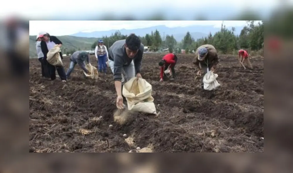 Primera convocatoria fue declarada desierta el 5 de junio. Foto: Andina.