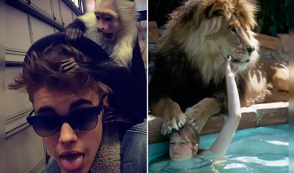 El cantante Justin Bieber y la actriz Melanie Griffith tuvieron mascotas poco comunes. Foto: composición revista LIFE/ Justin Bieber/Instagram El cantante Justin Bieber y la actriz Melanie Griffith tuvieron mascotas poco comunes. Foto: composición revista LIFE/ Justin Bieber/Instagram