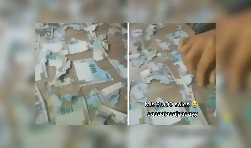 La grabación obtuvo casi medio millón de reproducciones en la red social. Foto: captura de TikTok